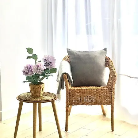 Holidays - Apto A Centrico Terraza Con Garaje Gratis Daire *